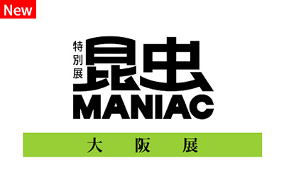 konchutenosaka
