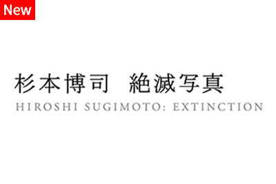 sugimoto